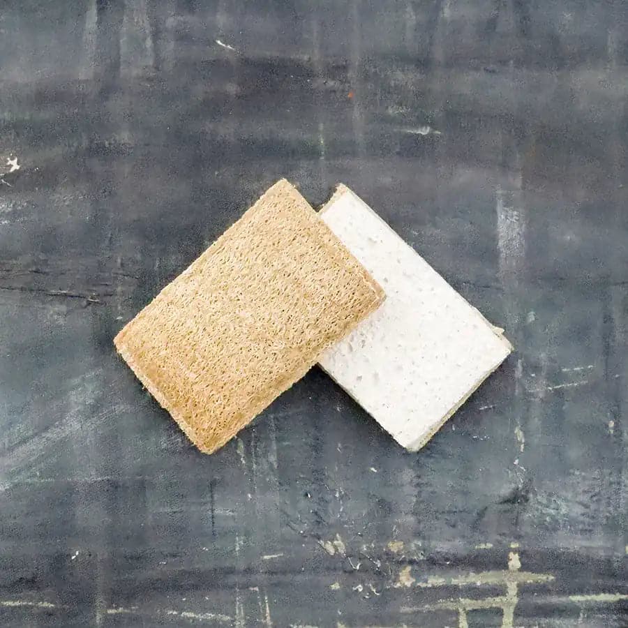 Éponge écologique - LeafHabits