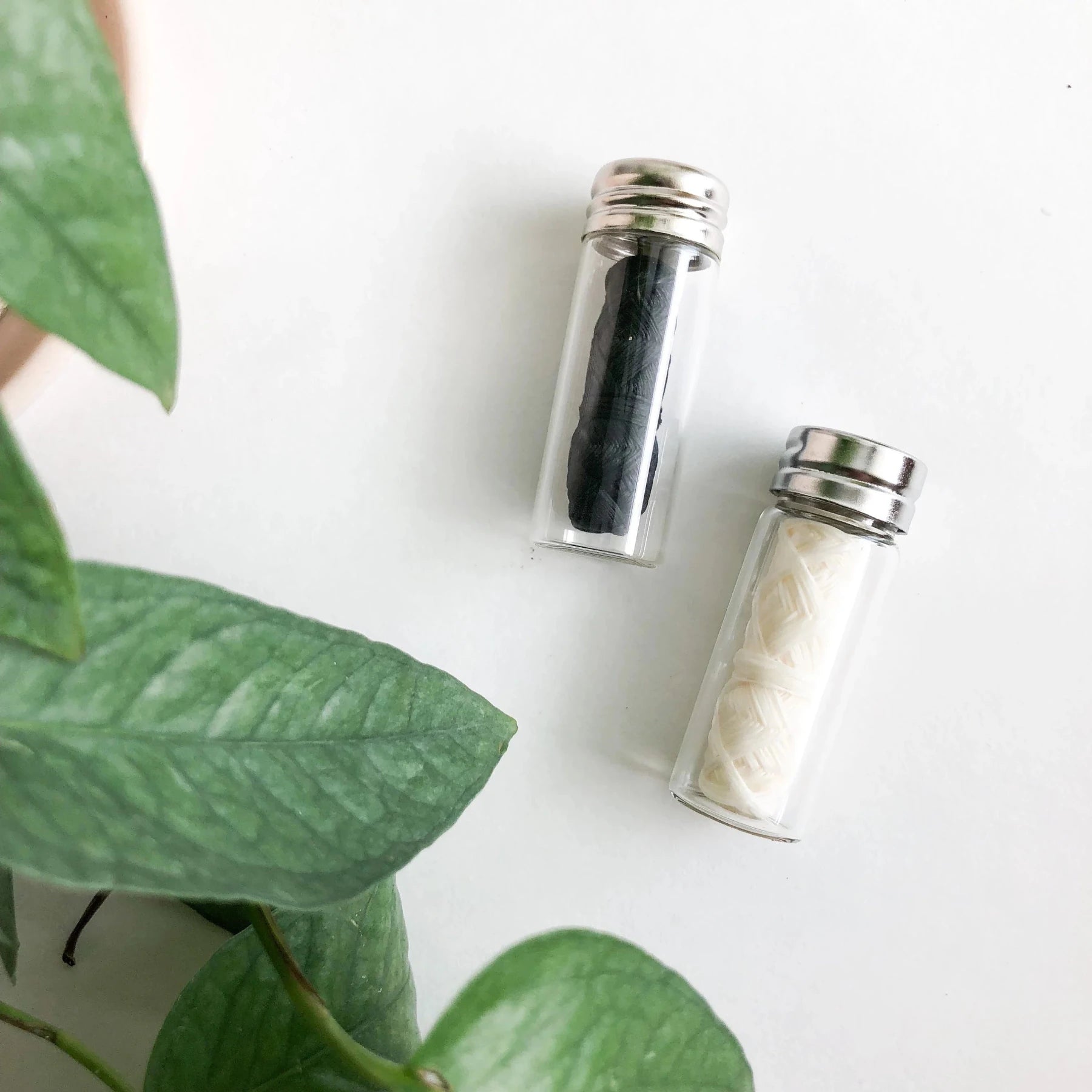 Fil dentaire en bambou biodégradable - LeafHabits